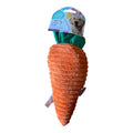 Carrot Plush Dog Toy - Squeak Toy